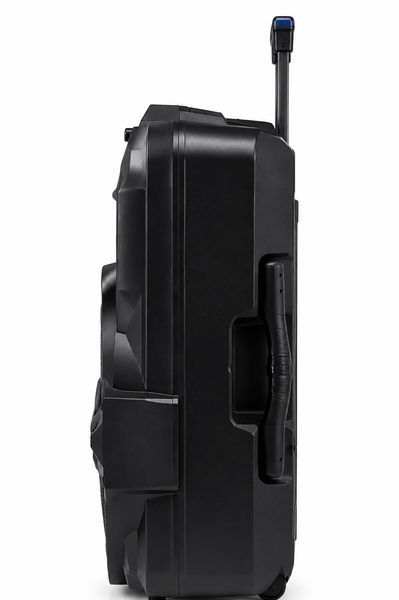 Портативна акумуляторна колонка 12" 30Вт з Bluetooth FM мікрофоном пультом та LED-дисплей KOLAV-1767A Black AV-KOLAV-1767A фото