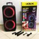 Мощная переносная колонка с двумя микрофонами ZXX-7575 Колонка с Bluetooth и радио ZXX-7575 фото 3
