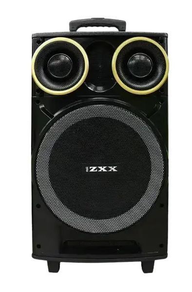 Акустична переносна колонка ZXX-9191 60Вт 12" 67х38х32см TWS/FM/USB/TF/SD/BT/REC/LED/2MIC ZXX-9191 фото