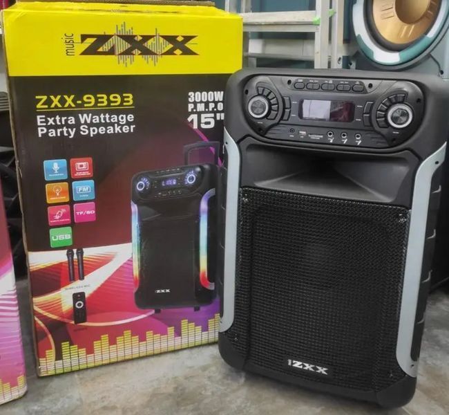 Акустична переносна колонка ZXX‑9393 з підсвічуванням та акумулятором портфативна з пультом переносна з Bluetooth та 2 мікрофонами ZXX-9393 фото