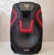 Мощная акустическая переносная колонка ZX-1503 60 Вт с LED подсветкой и радиомикрофонами ZXX-1503 фото 6