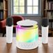 Караоке-колонка K19 5Вт портативная на аккумуляторе 1000мАч с BT, TF, USB, AUX и LED-подсветкой RGB, 2 микроф K18-bl фото 3